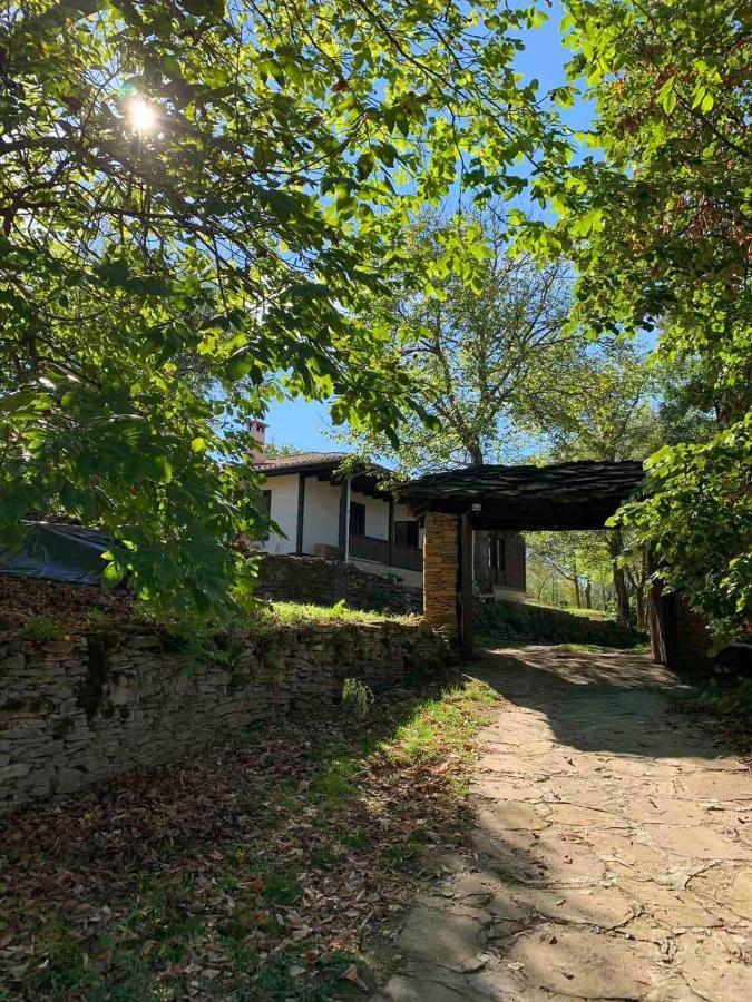 The Legends , Art & Forest Gabrovo Exterior photo